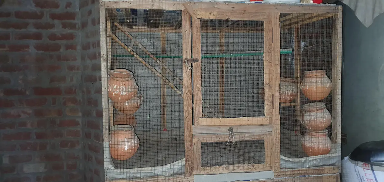 cage for sale. parrots our hens — photo 4