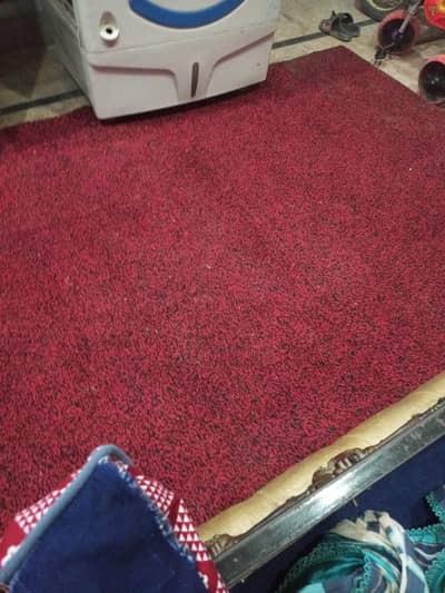 carpet
