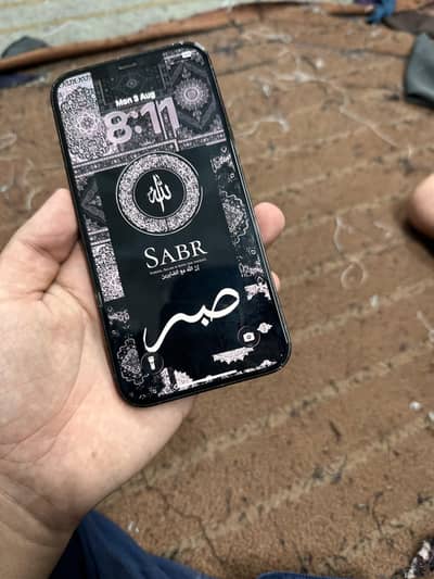 Apple iPhone 12 Pro Max