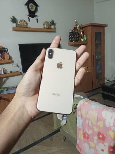 Apple iPhone XS Factory Unlock