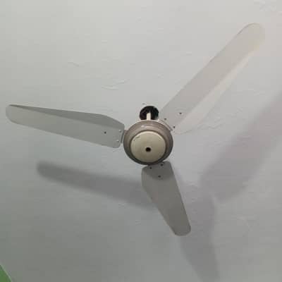 fan for sale