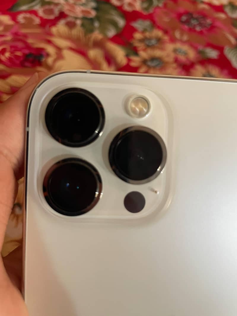 Apple iPhone 13 Pro Max 5