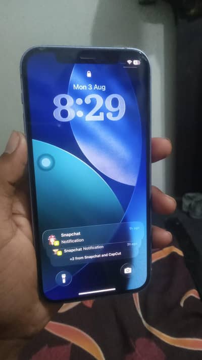 Apple iPhone 12