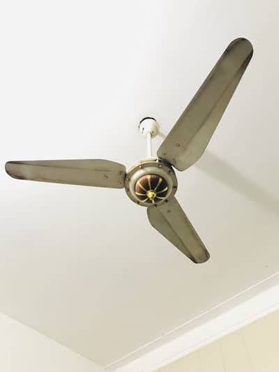 Lahore Fan