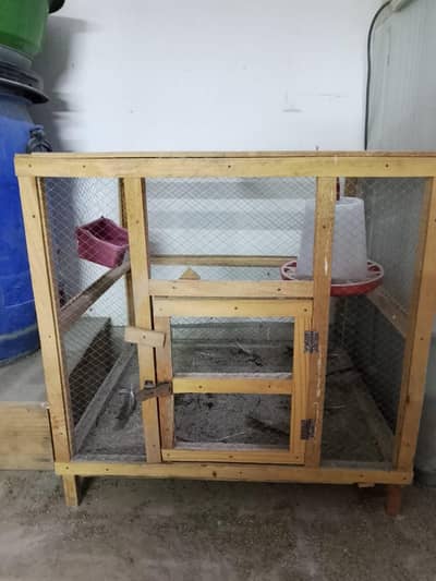 desi murgi for sale with cage