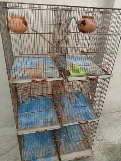 birds cage