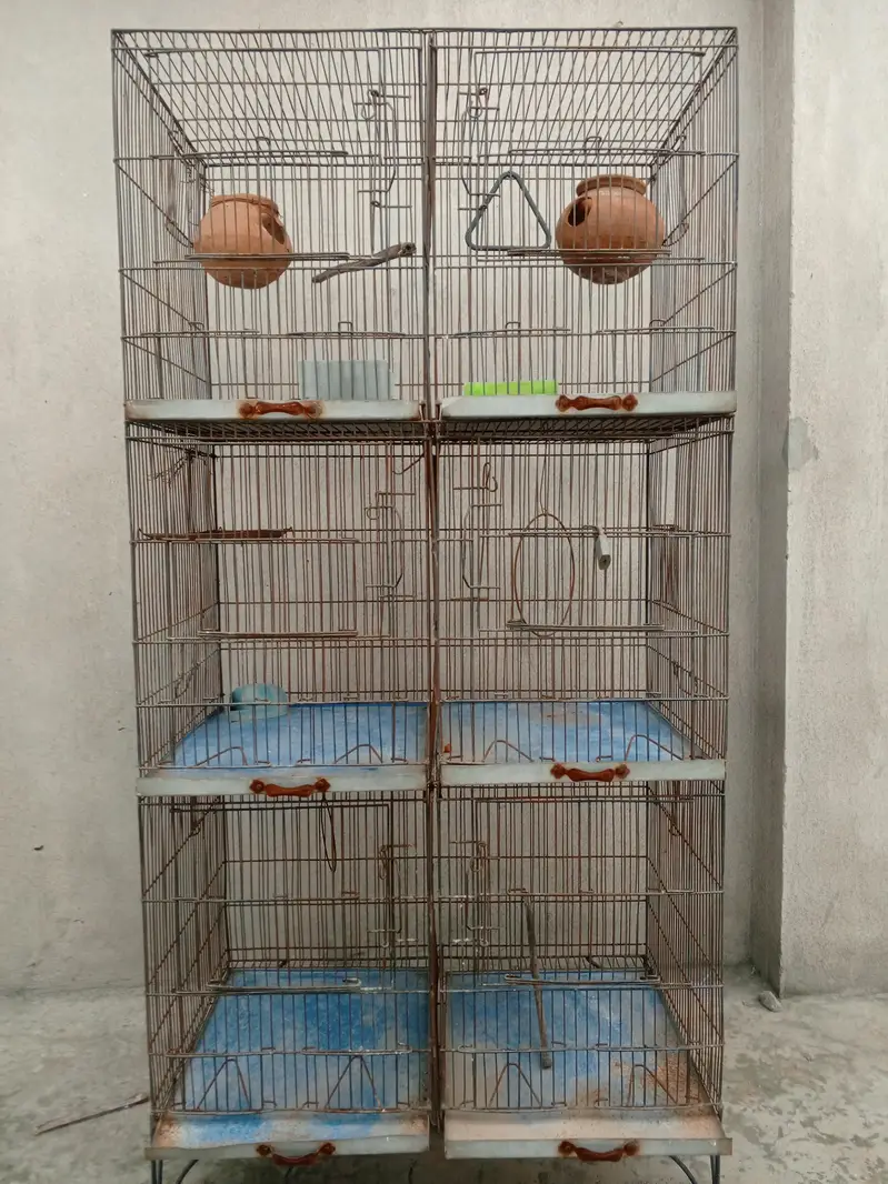 birds cage — photo 2