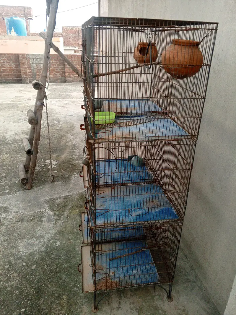 birds cage — photo 3
