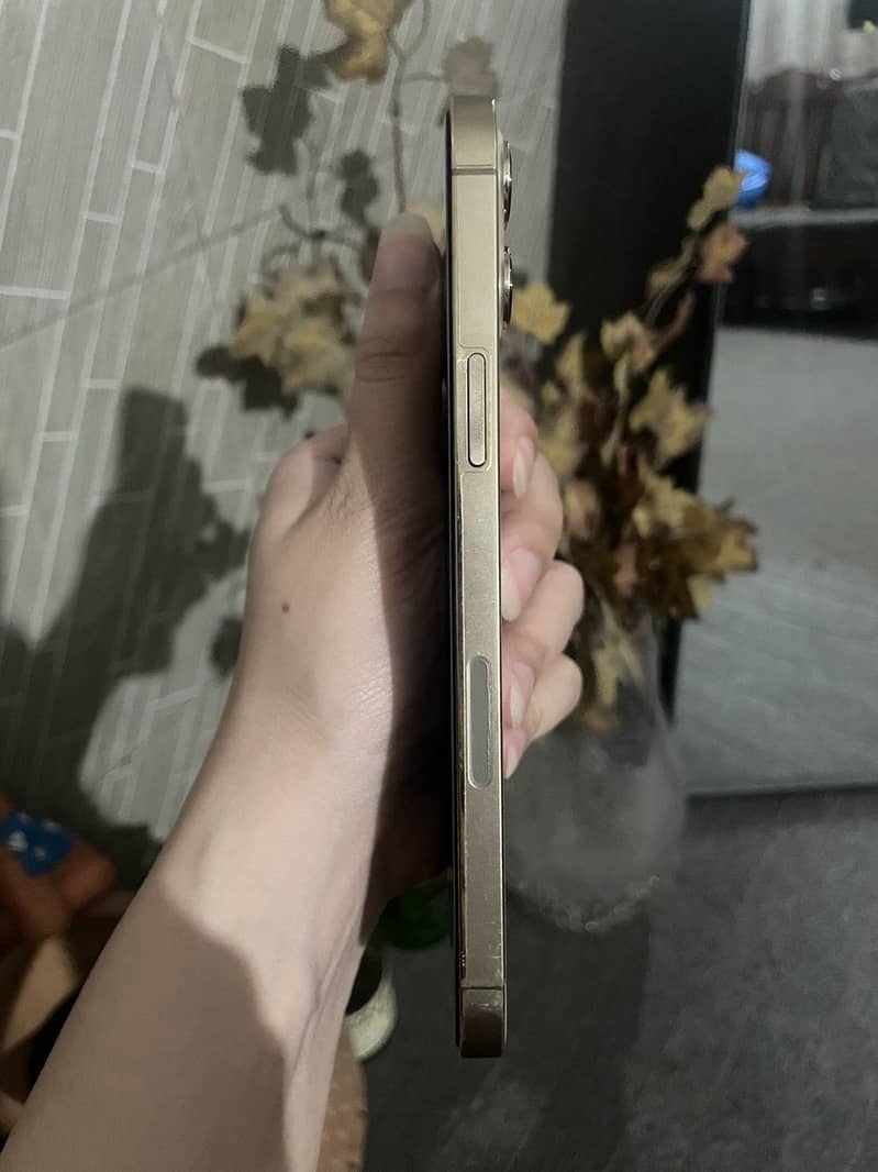 Apple iPhone 12 Pro Max 1