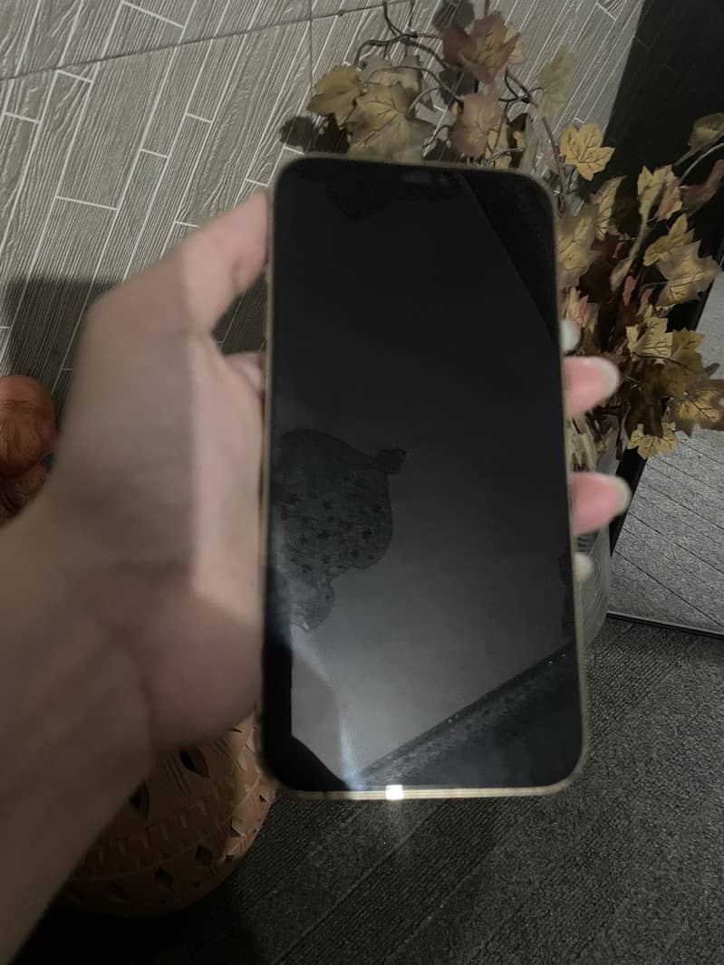 Apple iPhone 12 Pro Max 2