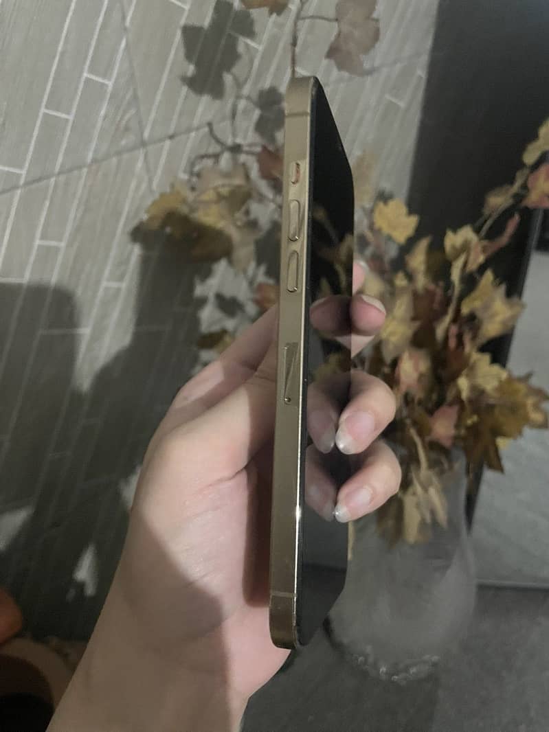 Apple iPhone 12 Pro Max 3