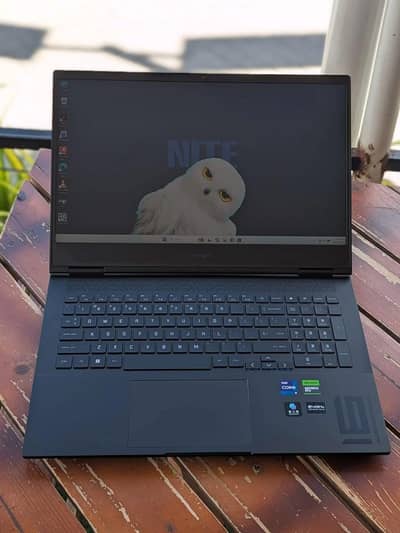 Hp Omen 16 (8Gb RTX 4060)