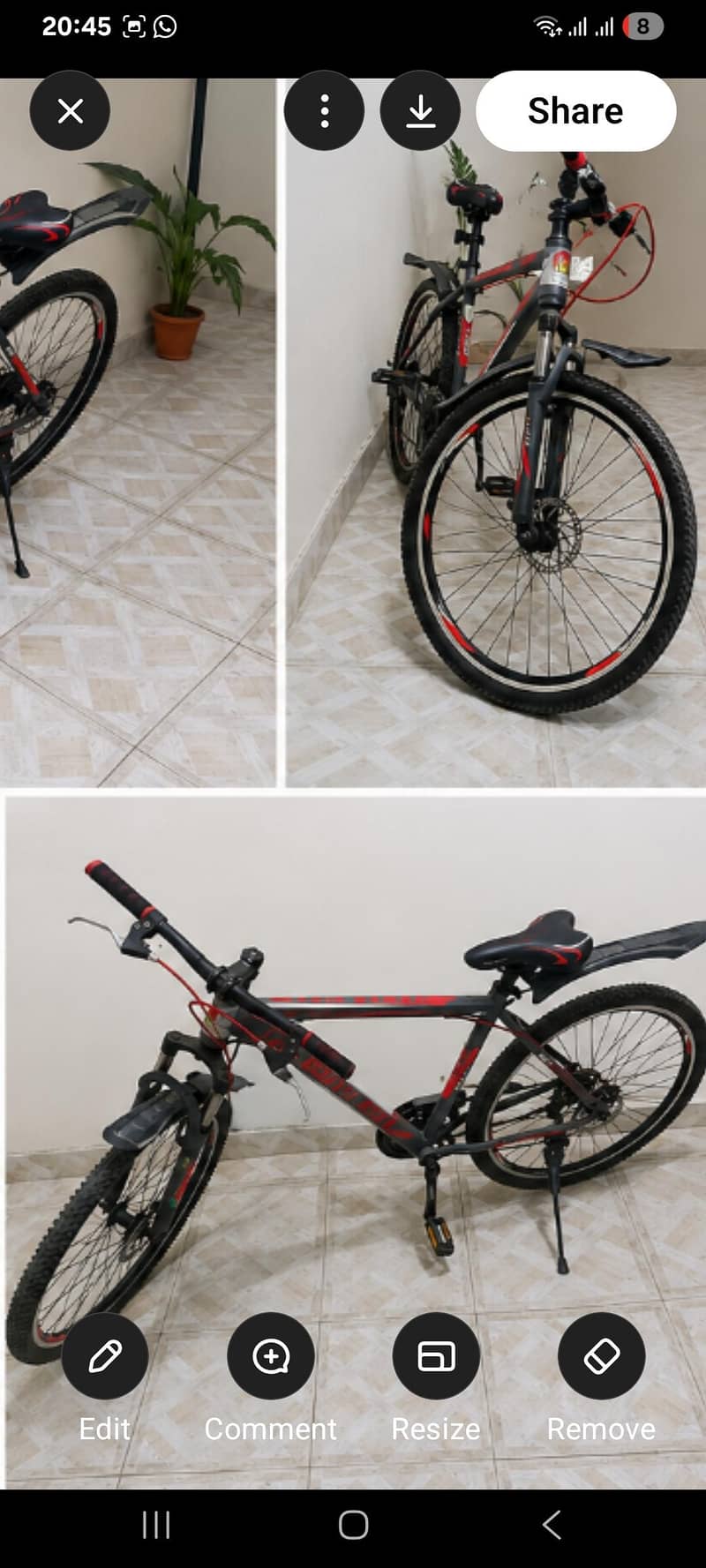 new cycle 0