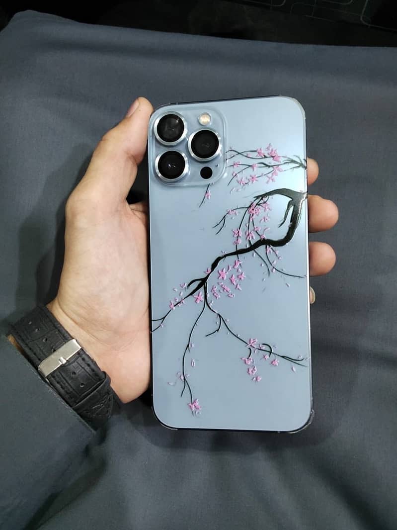 iPhone 13 Pro Max 0
