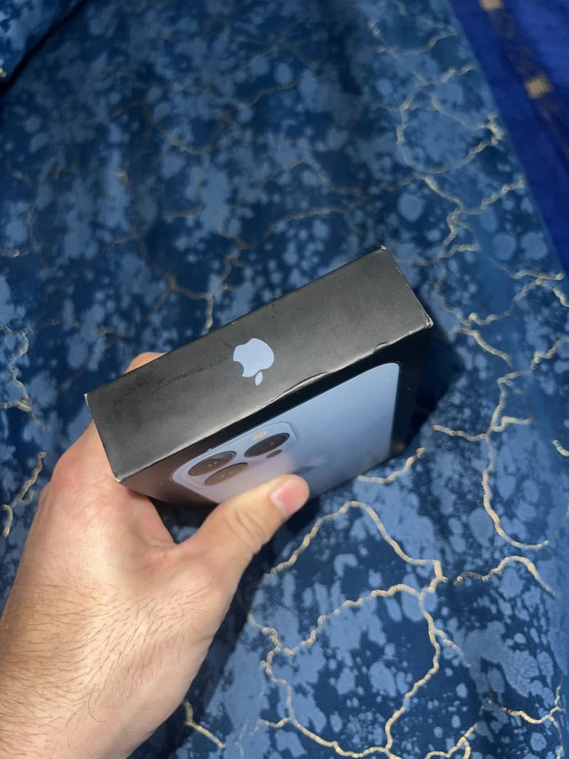 iPhone 13 Pro Max 6
