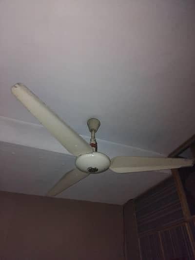 Ceiling Fans