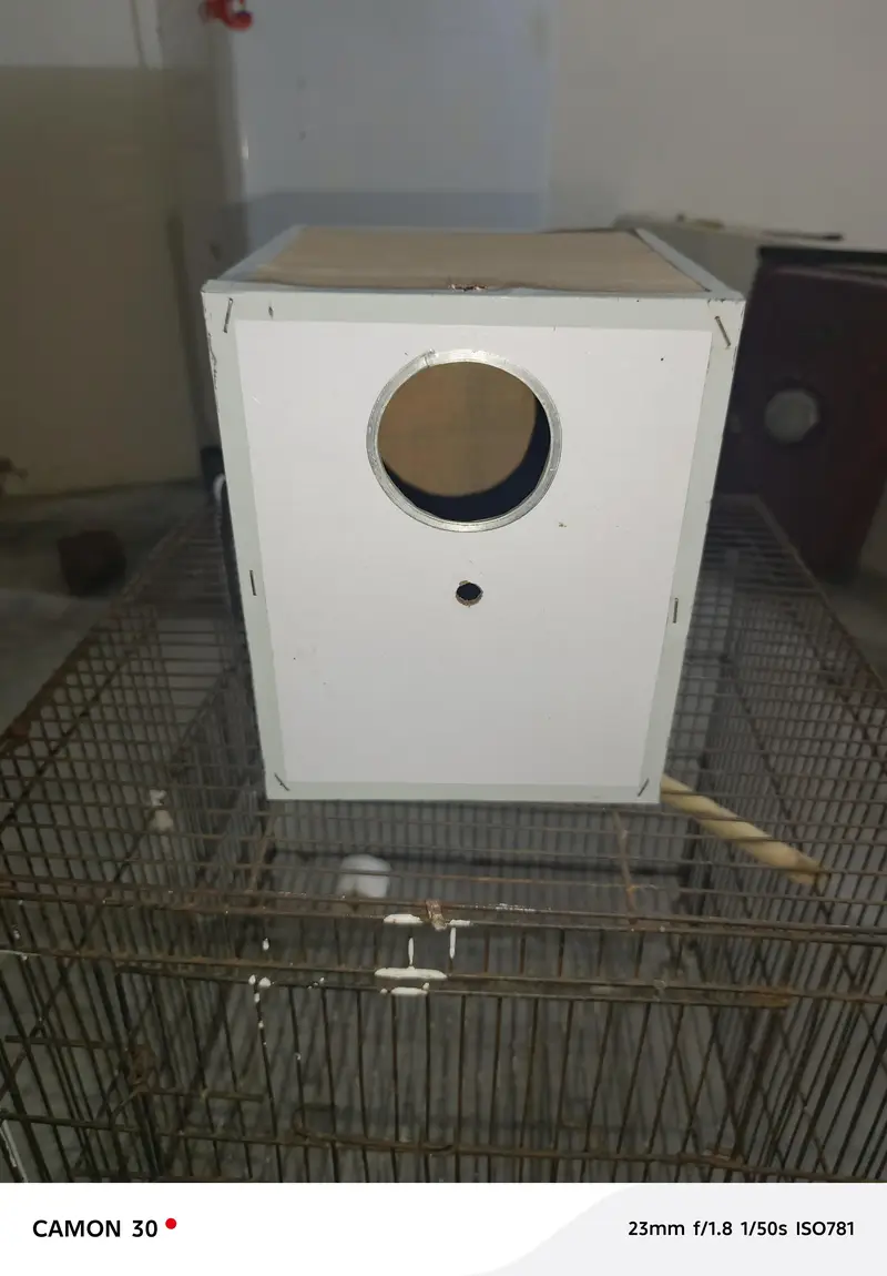 1.5/1.5 Cage For Sale — photo 2