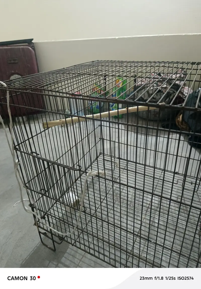 1.5/1.5 Cage For Sale — photo 5