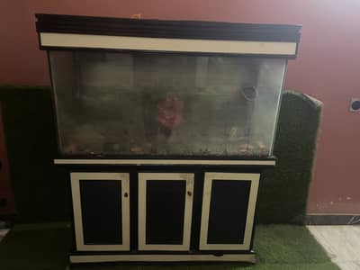 Fish Aquarium for Sale – Good Condition