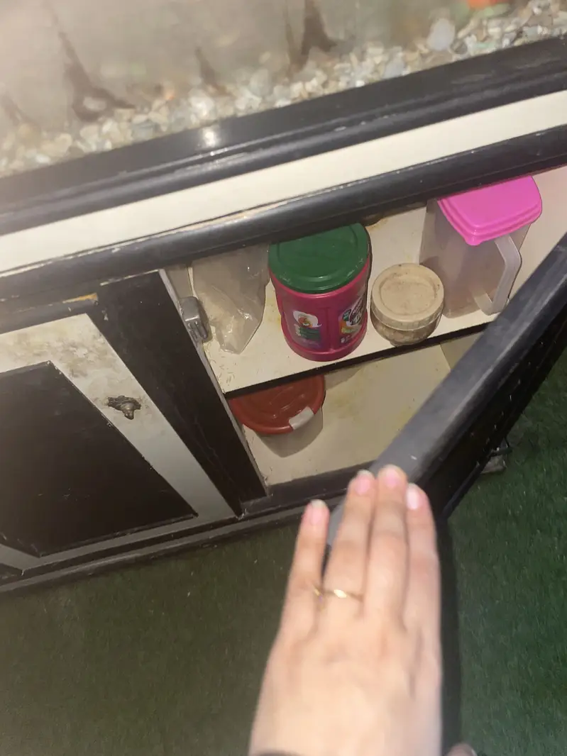 Fish Aquarium for Sale – Good Condition — photo 3