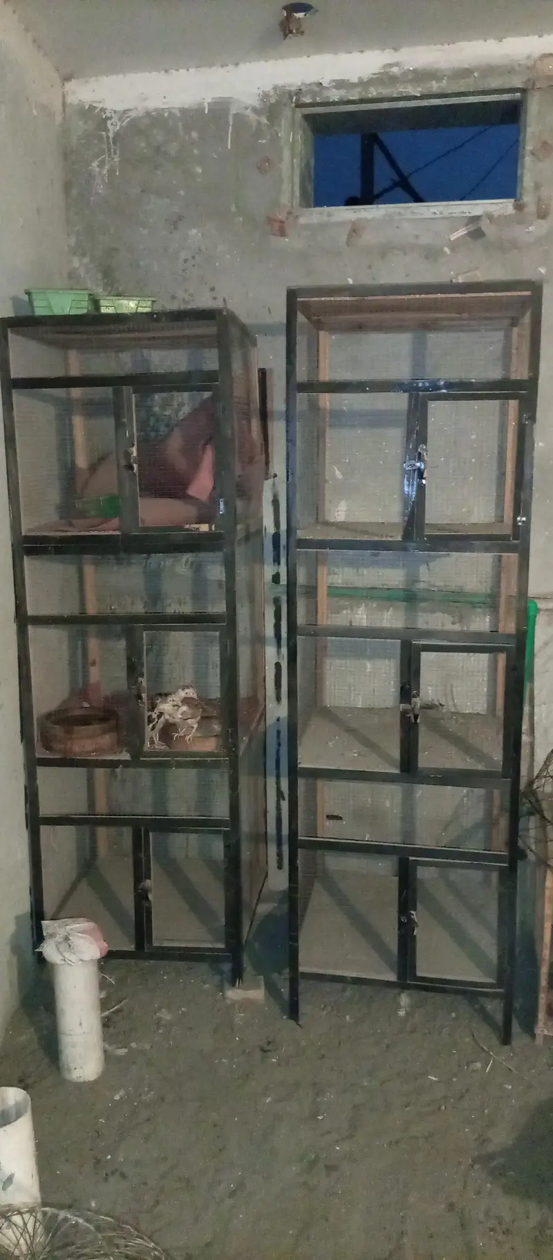 2 Panjra  for sale — photo 3