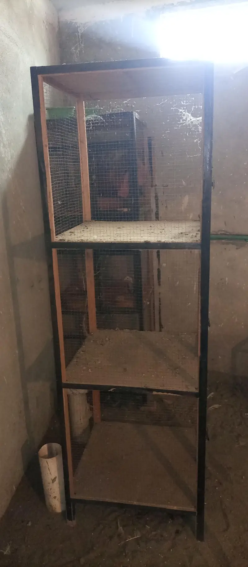 2 Panjra  for sale — photo 7