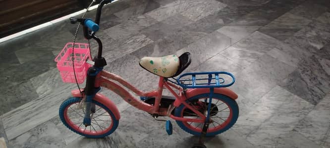 GIRL CYCLE