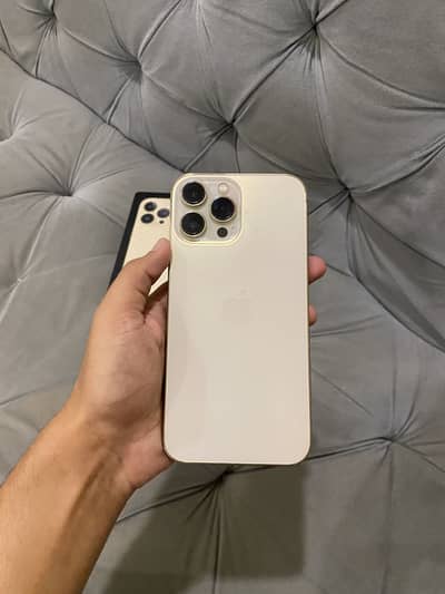 Apple iPhone 13 Pro Max