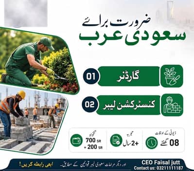 Sudia m confirmed work visa 100% ik dafa zaror try kry