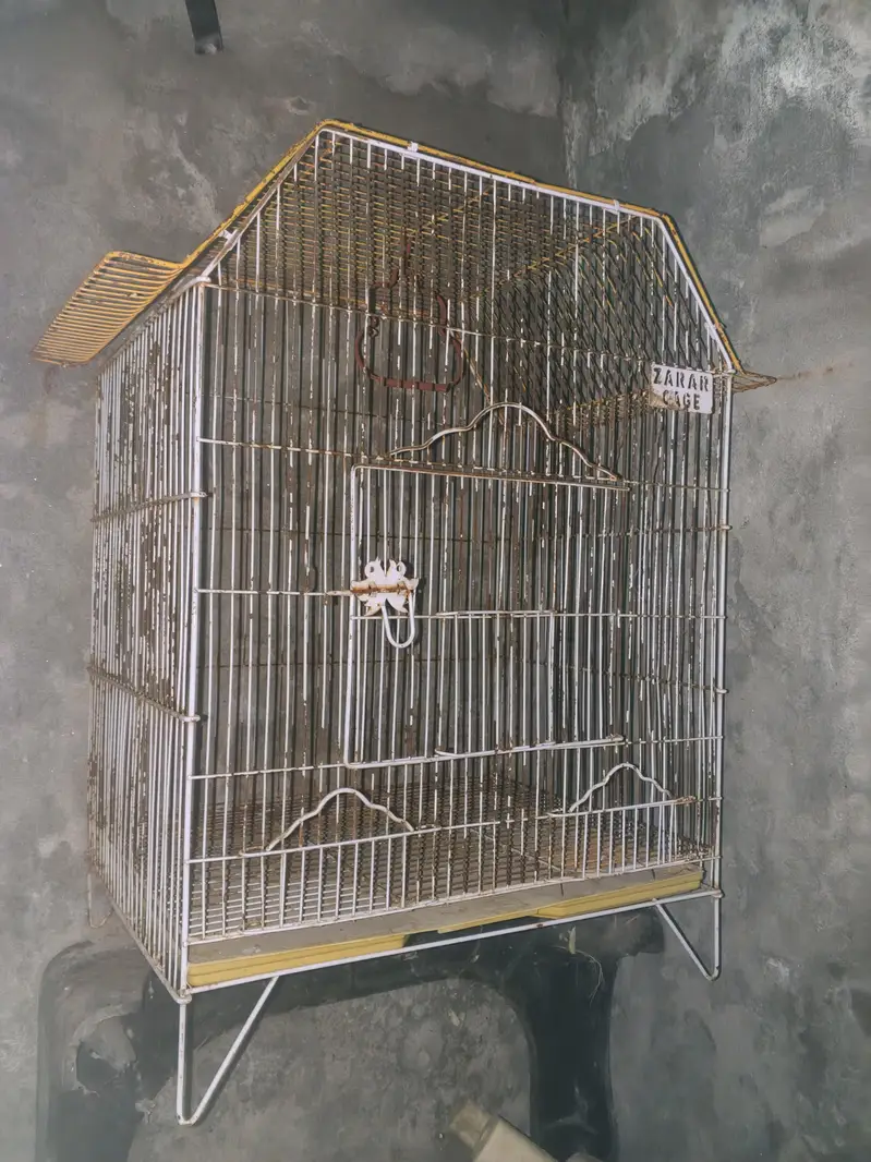 Cages — photo 2