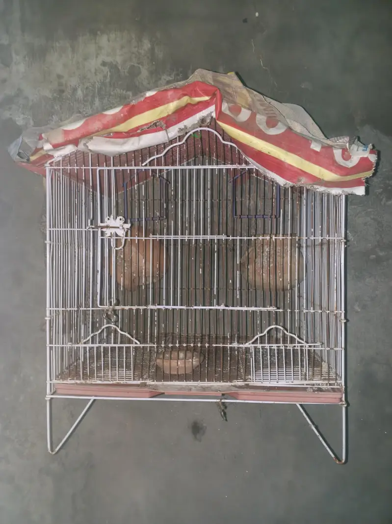 Cages — photo 3
