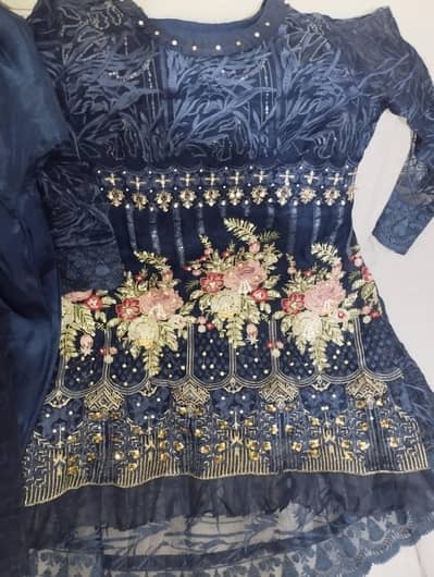 3 piece Embroidered Net Suit