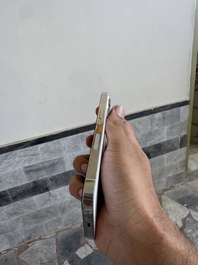 Apple iPhone 13 Pro 1