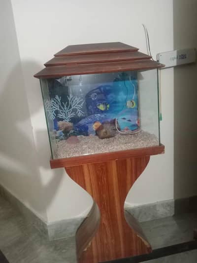 fish tank available for sale