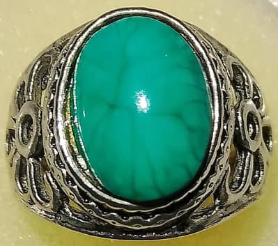 Hussaini Feroza in a ring