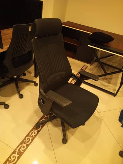 Exactive Chair for sale