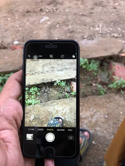 Apple iPhone 7