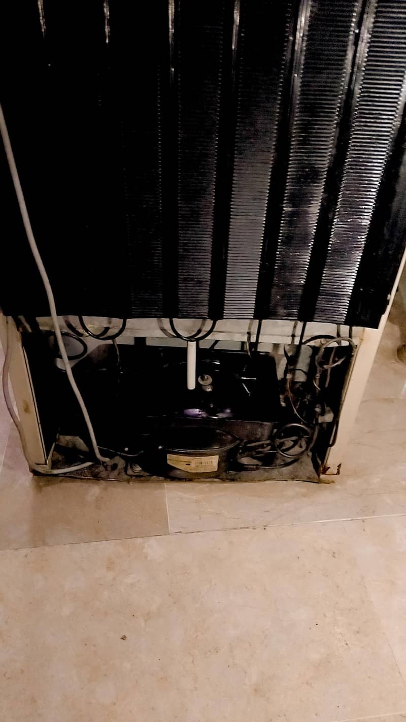 pel refrigerator 1