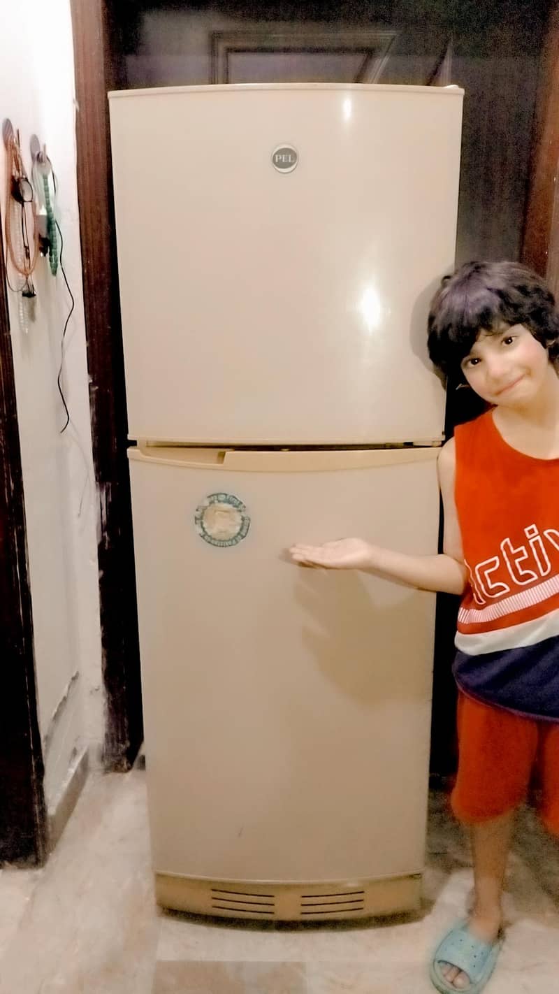 pel refrigerator 4