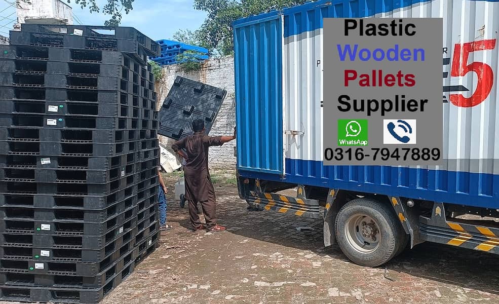 pallet 6