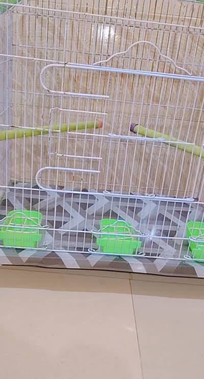 Big Size new Breeding Cage for sell with female