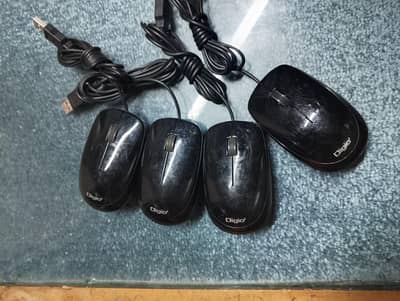 mouse