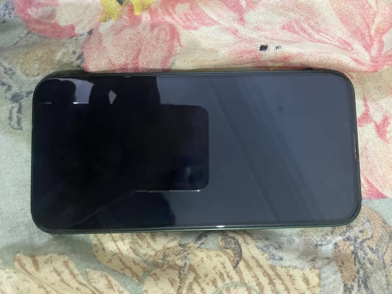 Apple iPhone 13 0