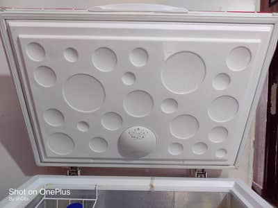 Haier Deep Freezer