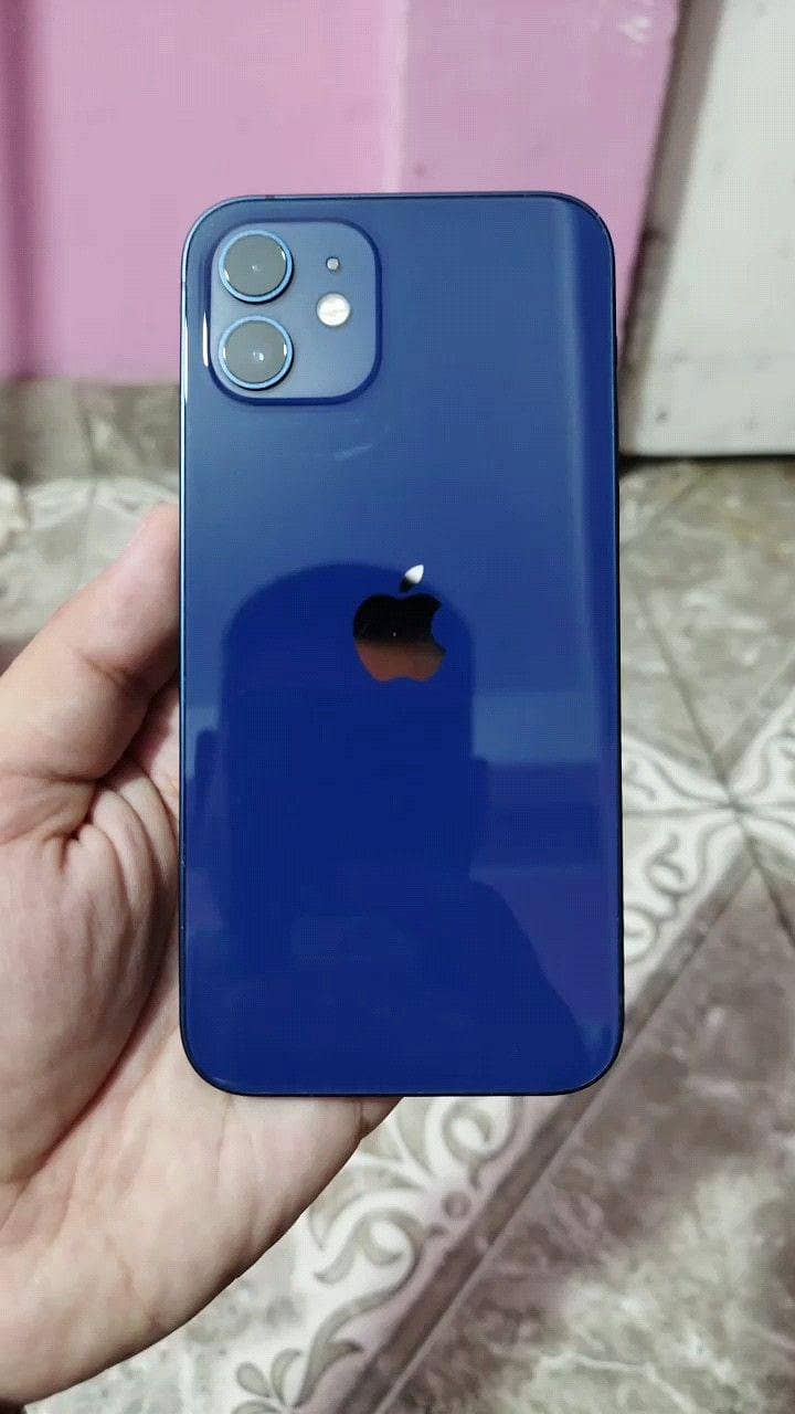 Apple iPhone 12 1
