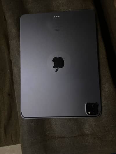 iPad. m 1 pro need panel