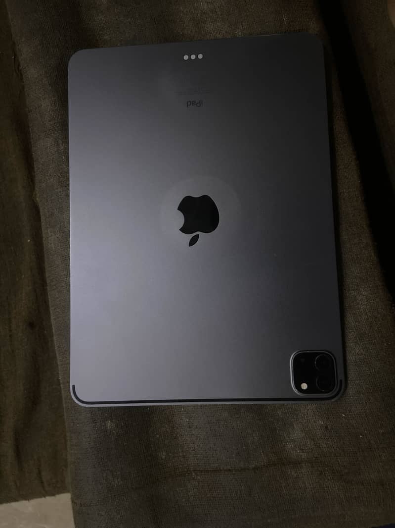 iPad. m 1 pro need panel 0