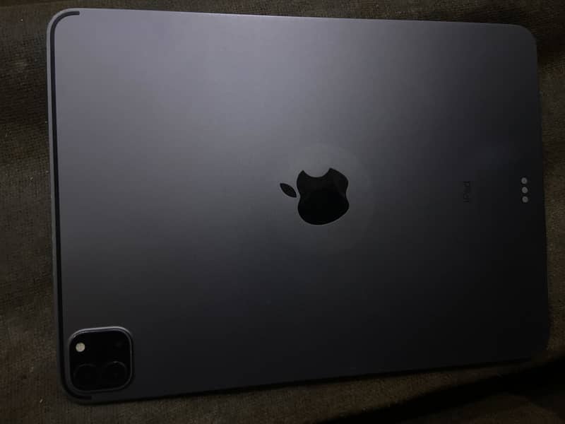 iPad. m 1 pro need panel 1