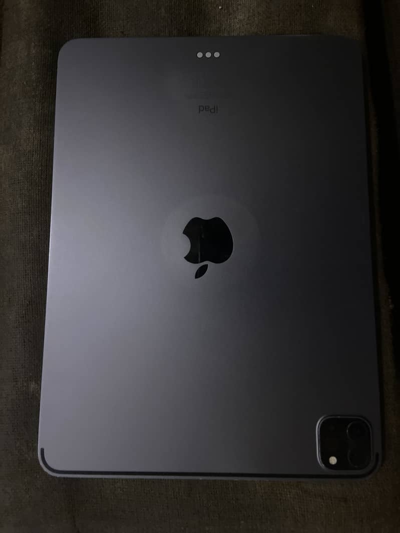 iPad. m 1 pro need panel 2
