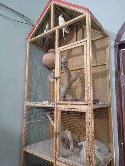Big size 4 portions Cage/ pinjara ( selling Only pinjara)